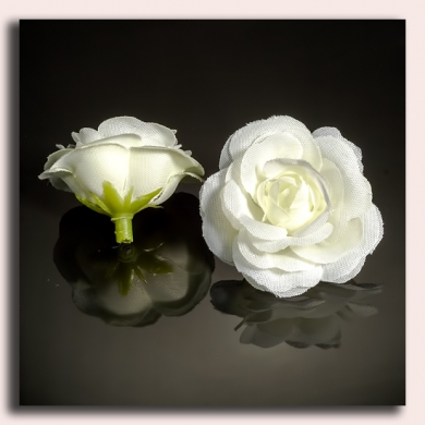 Róża główka 12 szt 4cm Cream